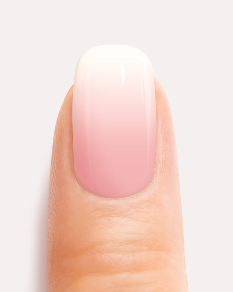 Rose Babyboomer UV